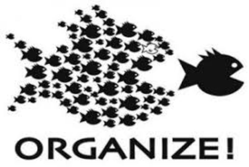 Organise