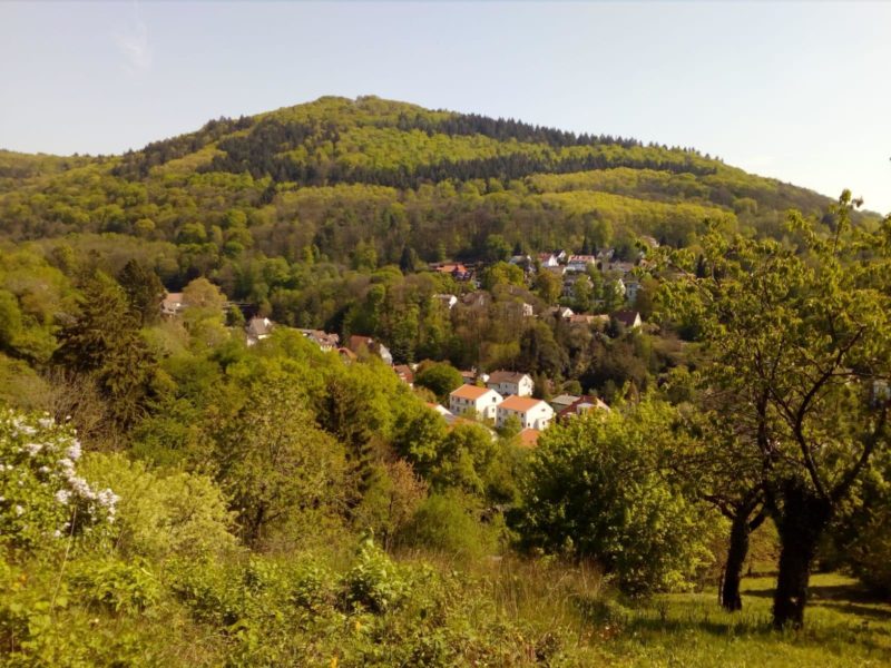 Looking down into the "Mühltal"