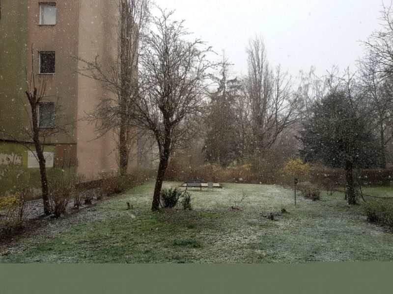 Snow in March in Berlin