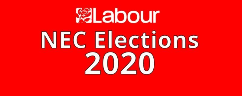 NEC Elections Logo 2020